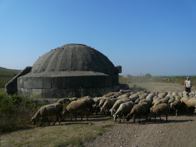 photo5.jpg
