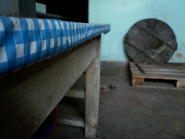 photo7.jpg