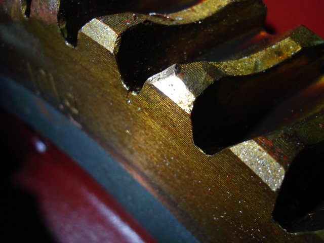 photo6.jpg
