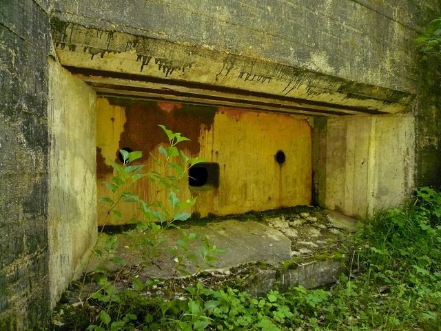 photo2.jpg