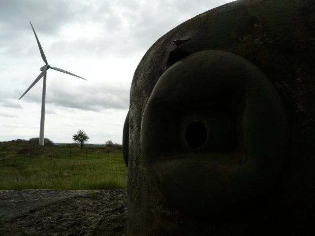 photo23.jpg