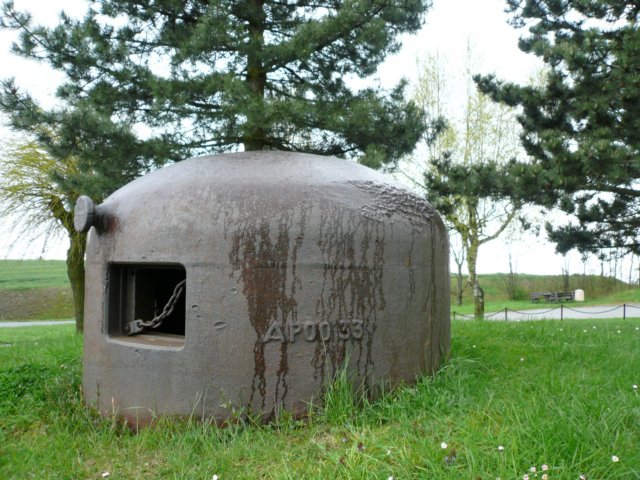 photo27.jpg