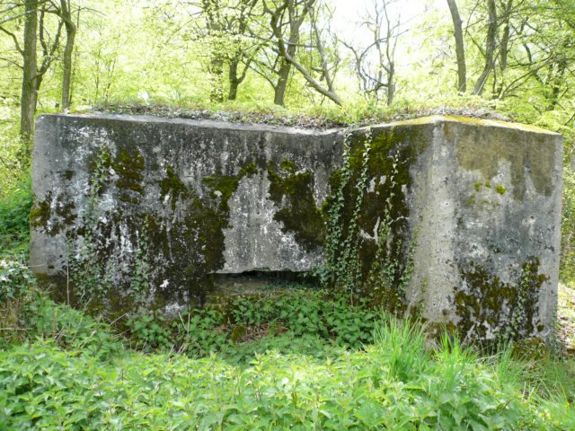 photo6.jpg