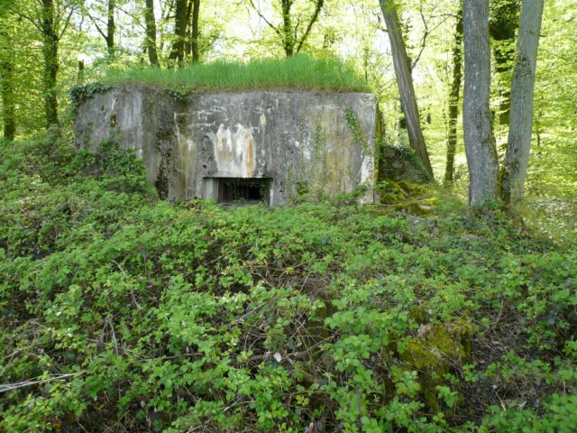 photo7.jpg