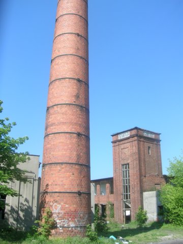 photo6.jpg