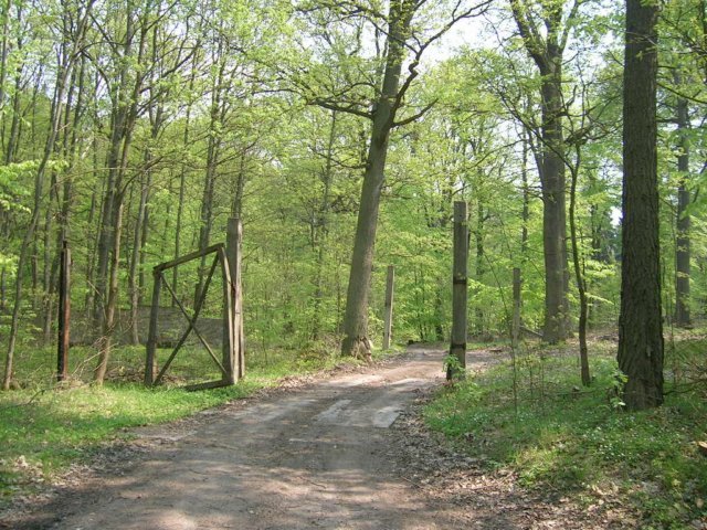 photo.jpg