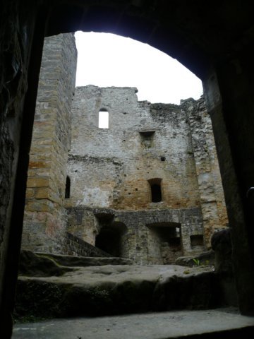 photo8.jpg
