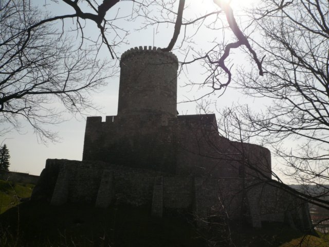 photo6.jpg