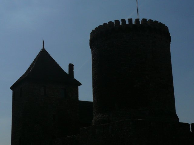 photo8.jpg