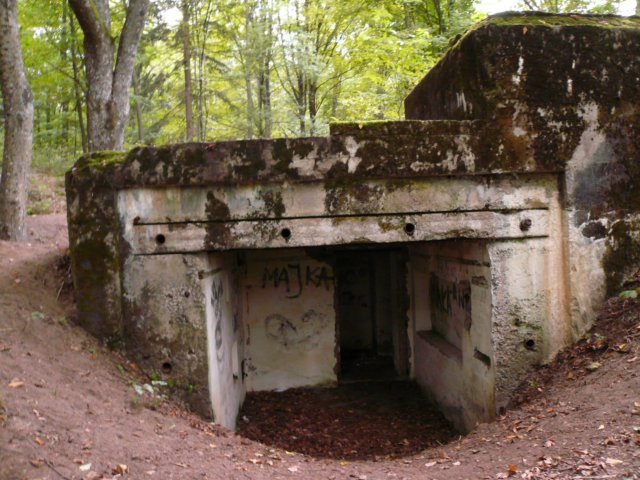 photo4.jpg