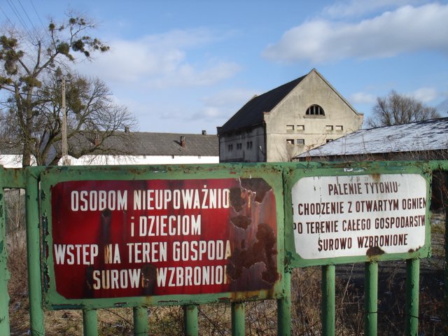 photo20.jpg