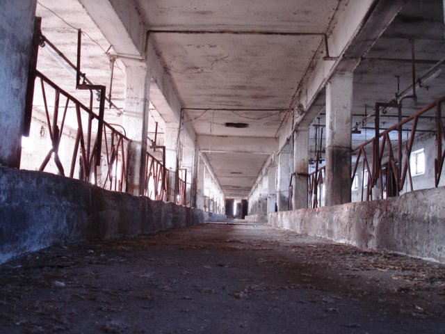 photo8.jpg