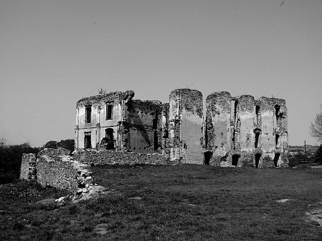 photo.jpg