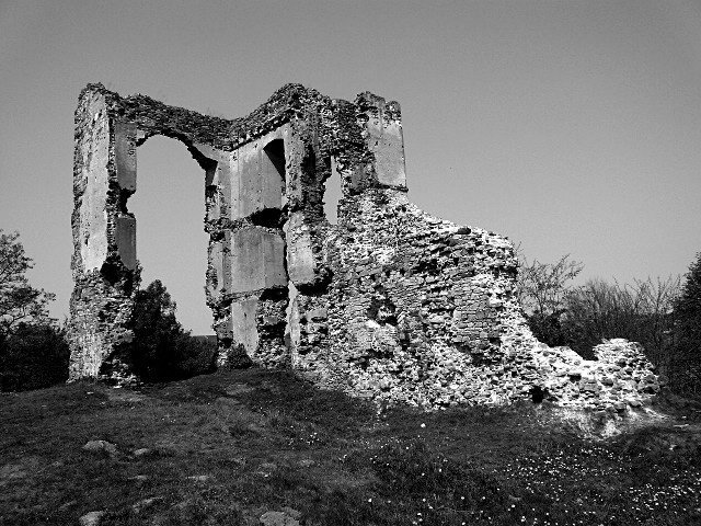 photo7.jpg