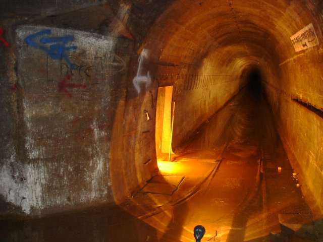 photo25.jpg