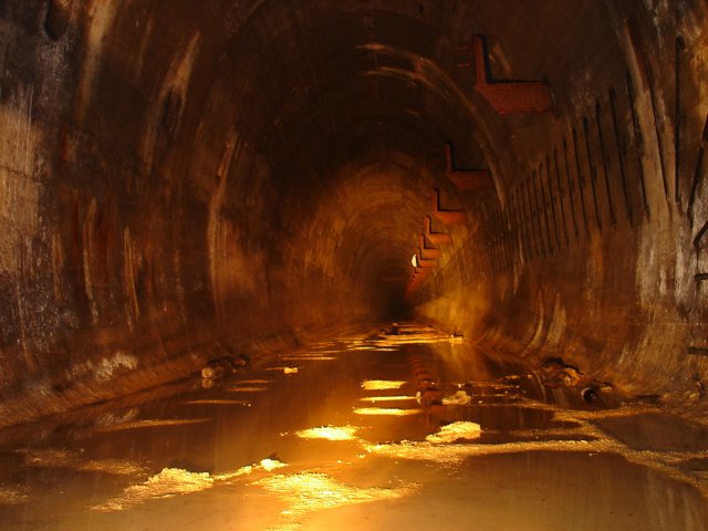 photo50.jpg