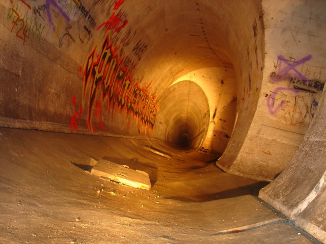 photo54.jpg