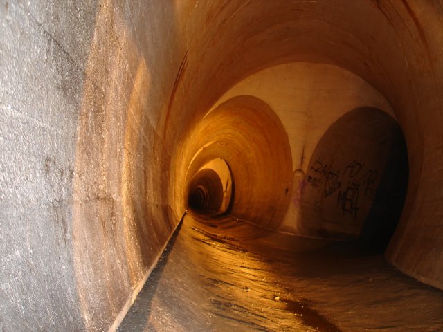 photo60.jpg