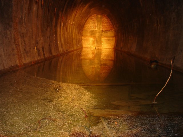 photo64.jpg
