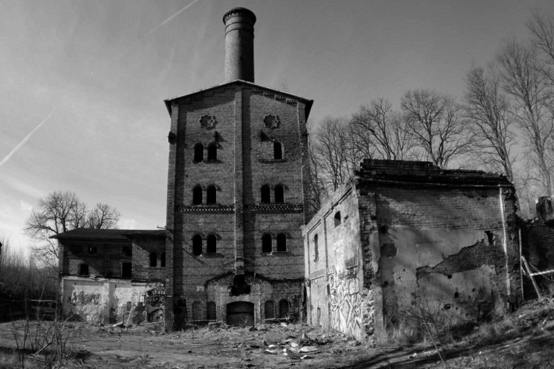 photo.jpg