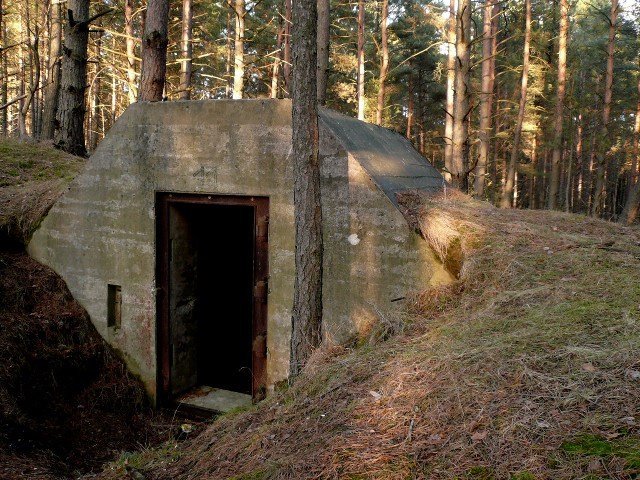 photo10.jpg