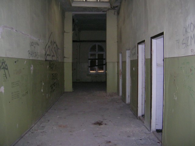 photo6.jpg