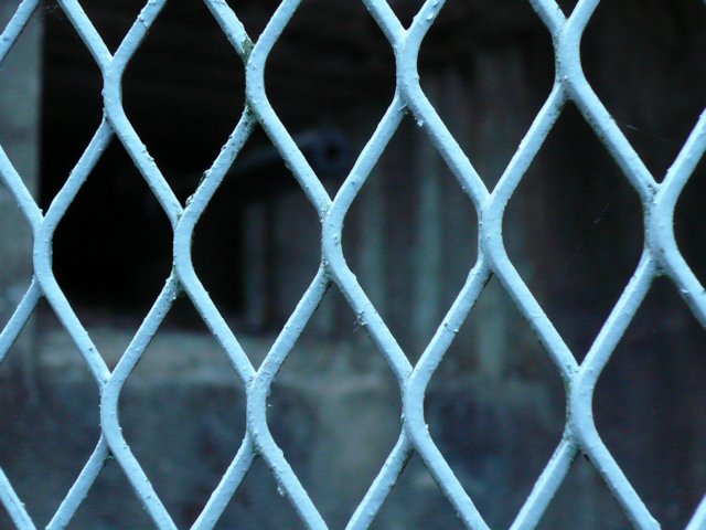 photo15.jpg