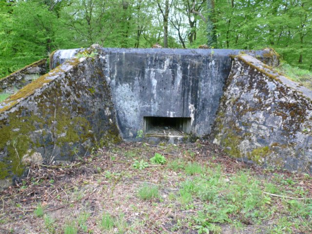 photo2.jpg