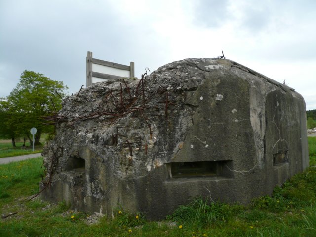 photo7.jpg
