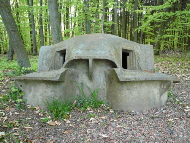 photo9.jpg