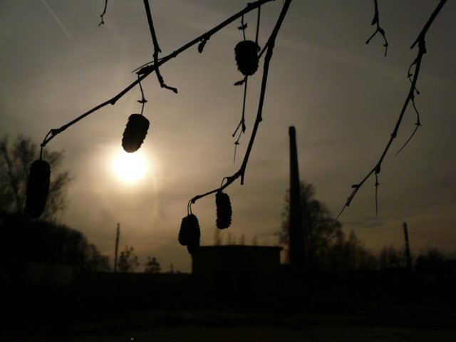 photo2.jpg