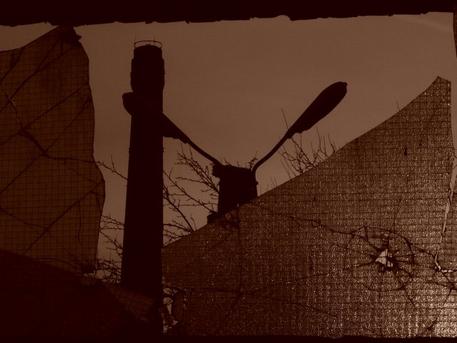 photo30.jpg