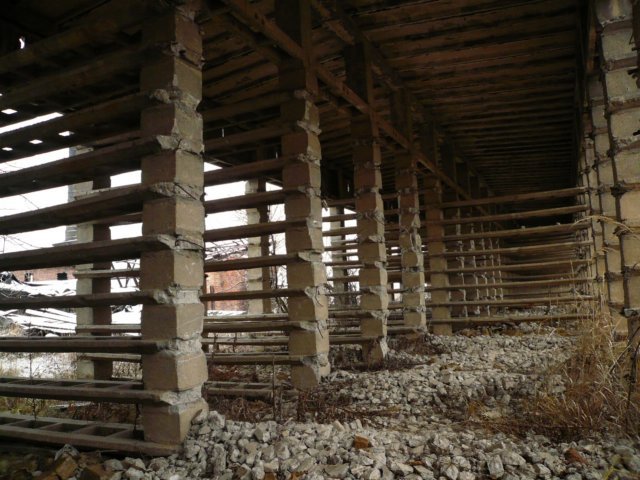 photo13.jpg