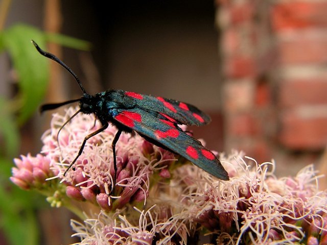 photo9.jpg