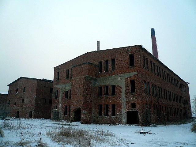 photo4.jpg