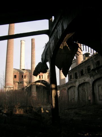 photo7.jpg