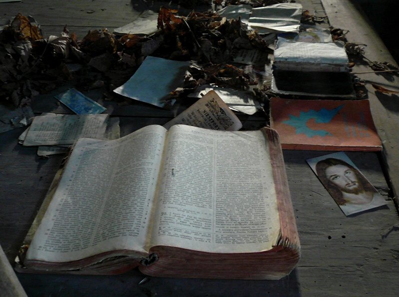 photo6.jpg