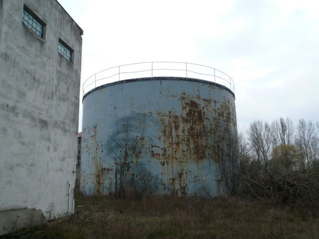 photo6.jpg