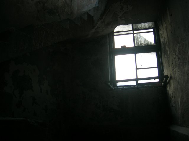 photo22.jpg
