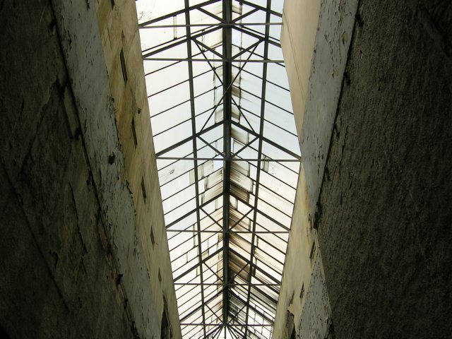 photo7.jpg
