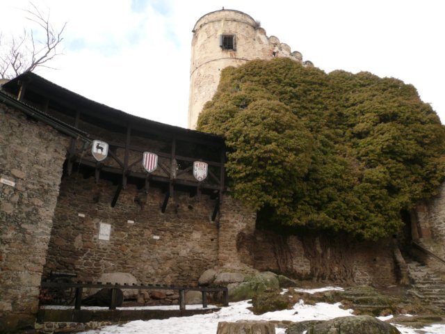 photo9.jpg