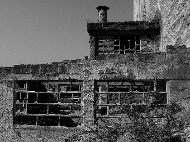 photo4.jpg
