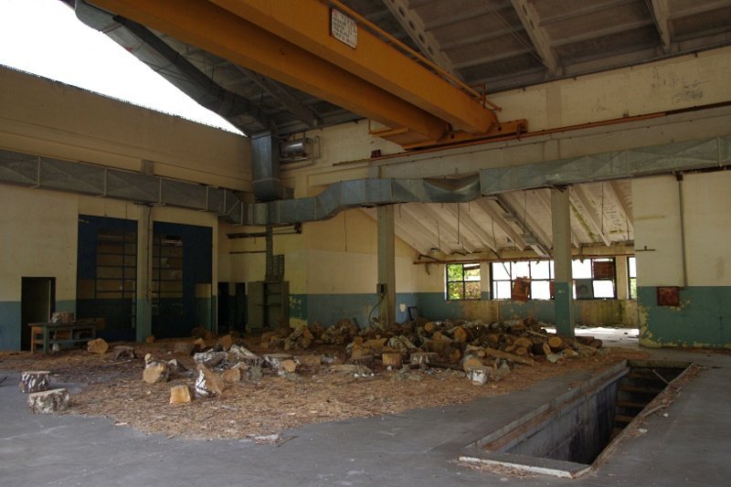 photo11.jpg