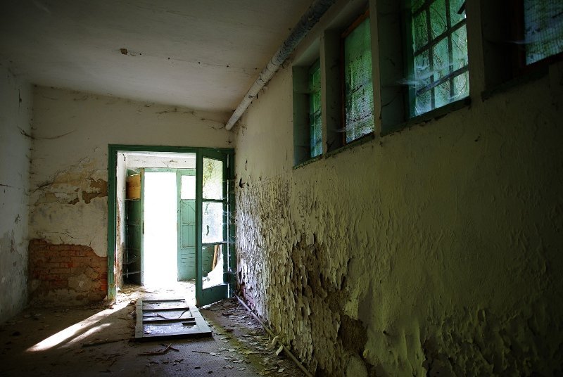 photo9.jpg