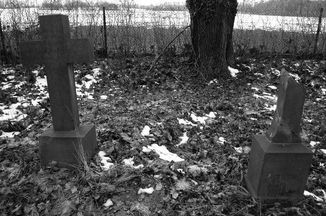photo8.jpg