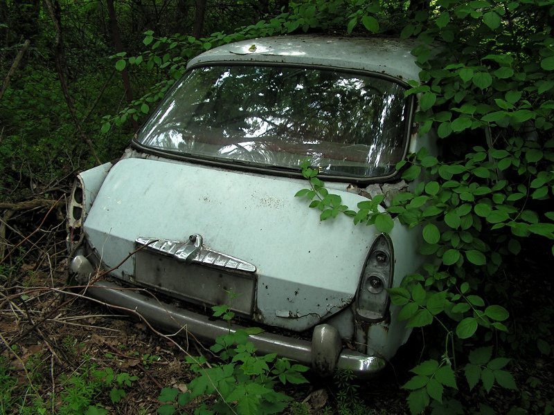 photo9.jpg