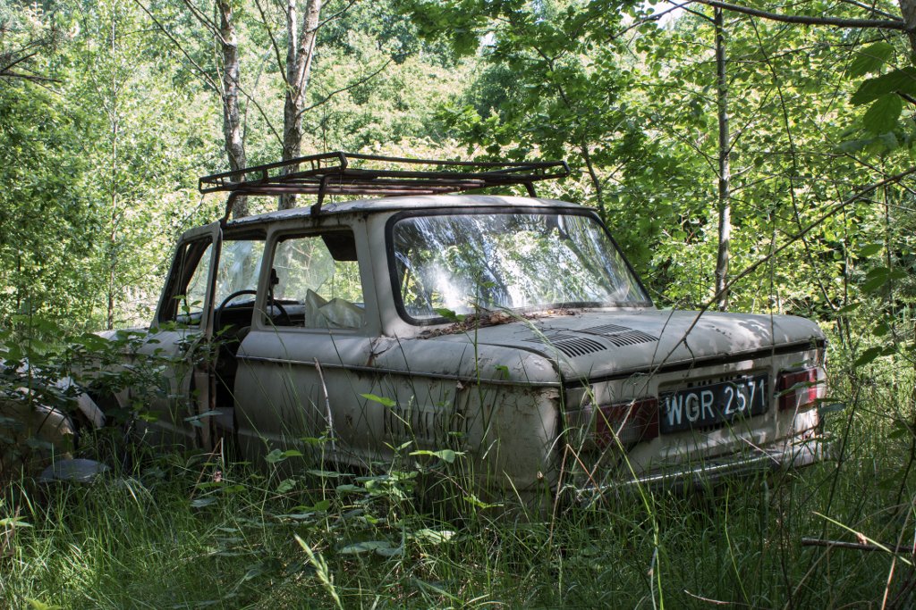 photo9.jpg