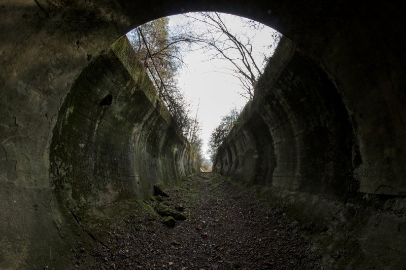 photo3.jpg