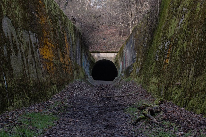 photo9.jpg