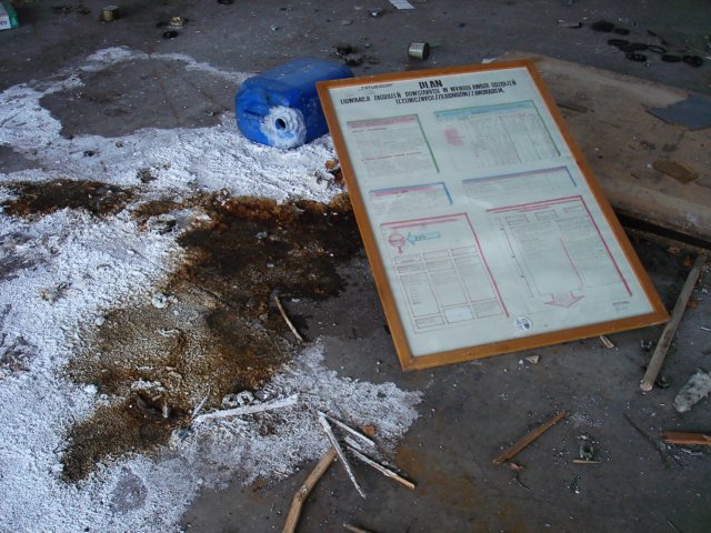 photo16.jpg